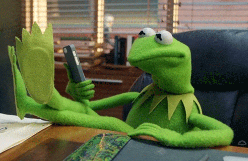 Kermit shaking head, watching phone